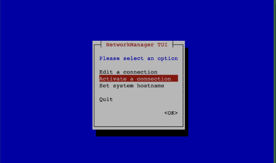 nmtui text interface showing Activate a connection highlighted